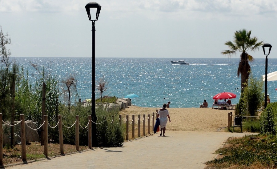 Un paseo marítimo con playa, palmeras y un barco a lo lejos.