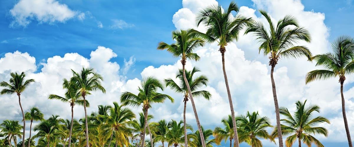 Beautiful day at Cap Cana seacoast