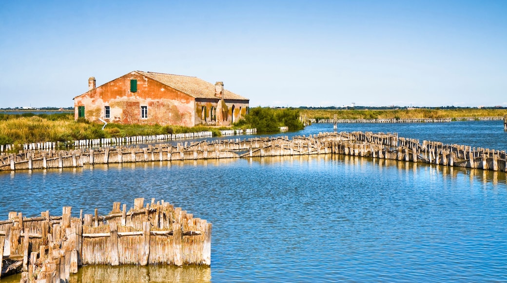 The Comacchio valleys (Italy) UNESCO protected site