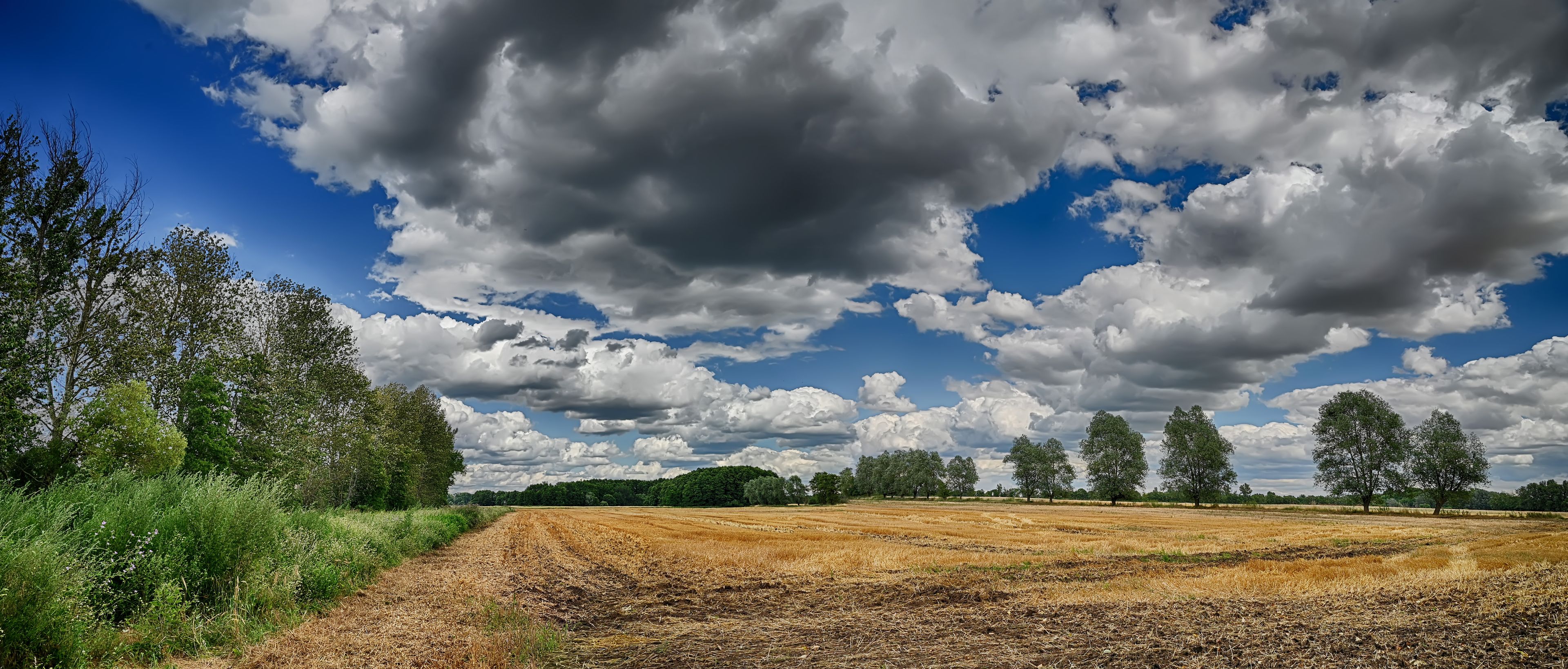 Weites Feld - Landschaftspanorama in der Prignitz (Brandenburg)