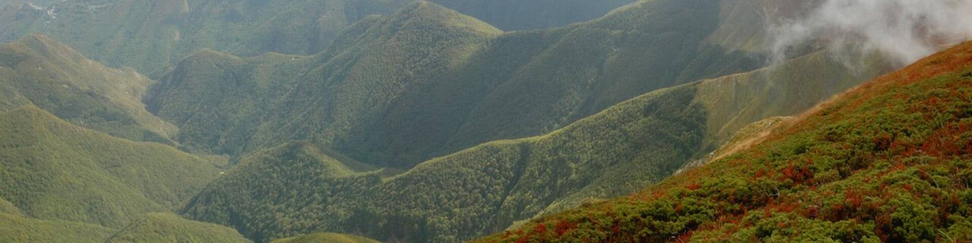 Dal Corno alle scale la valle verso Pianaccio