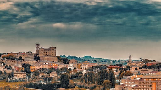castle and roofs