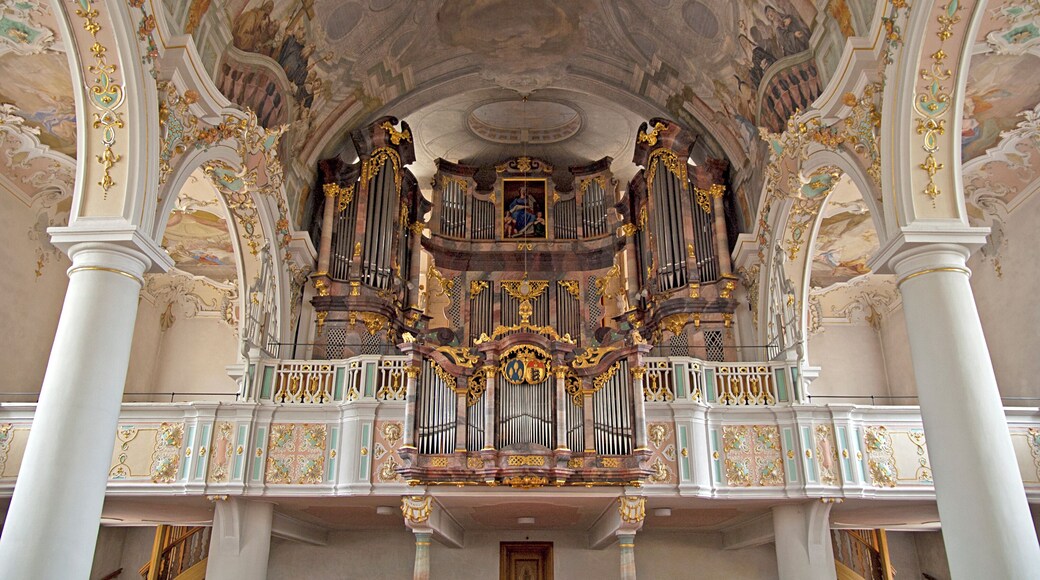 Kisslegg, Pfarrkirche St. Gallus und Ulrich, Orgel