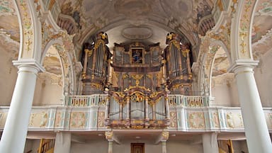 Kisslegg, Pfarrkirche St. Gallus und Ulrich, Orgel