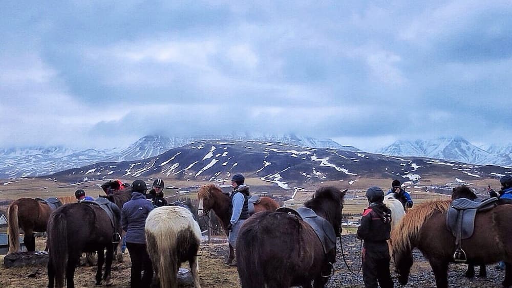 Lookout point midway through and Icelandic horseback ride with Laxnesi Horse Farm right outside Reykjavik