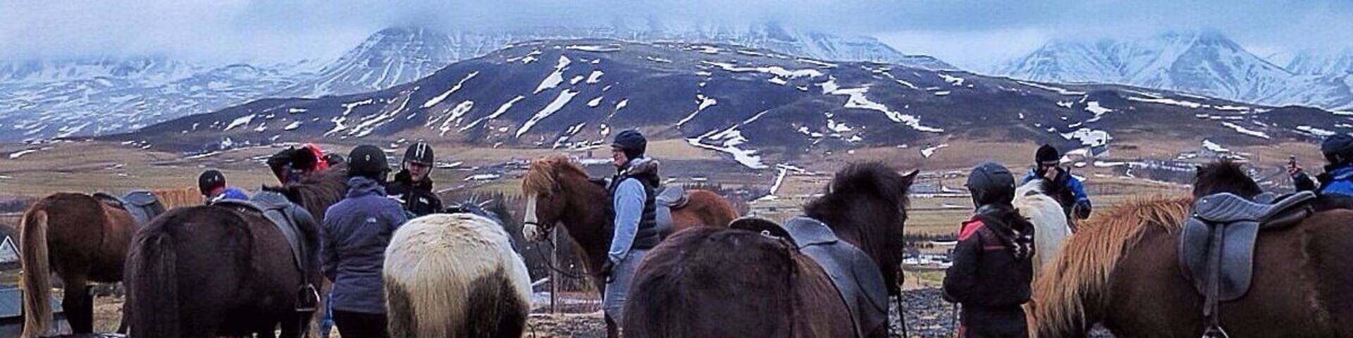 Lookout point midway through and Icelandic horseback ride with Laxnesi Horse Farm right outside Reykjavik