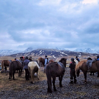 Lookout point midway through and Icelandic horseback ride with Laxnesi Horse Farm right outside Reykjavik