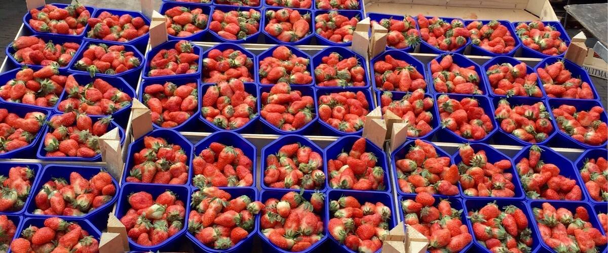 Wow!!! 2 buckets of strawberries for only 1 Euro... Lucky that I arrived late.. Closing sale... #market #colorful