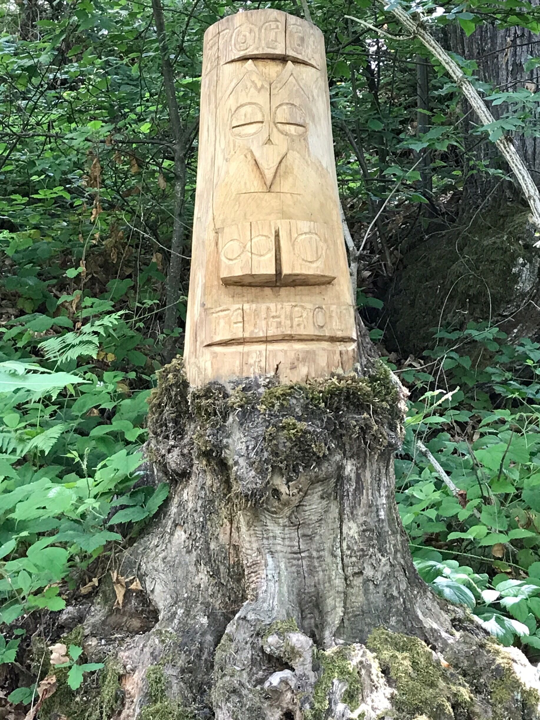 When art meets nature. Great journey in the woods following wood sculptures.