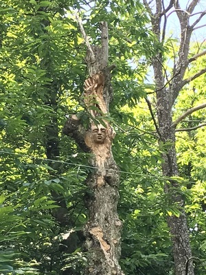 When art meets nature. Great journey in the woods following wood sculptures.