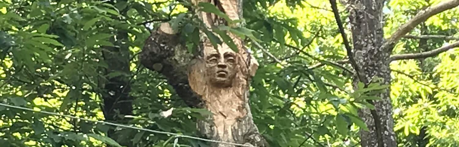 When art meets nature. Great journey in the woods following wood sculptures.