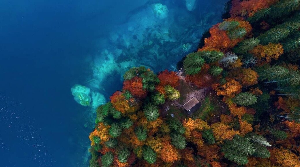 Dron shot of a cabin by the lake in thr forest. Taken with drone looking down in the fall.
#BvS100k
#drone
#aerial
#italy
#landscape
#perspectives
#mavic2pro
#fall #autumn #lake #cabin