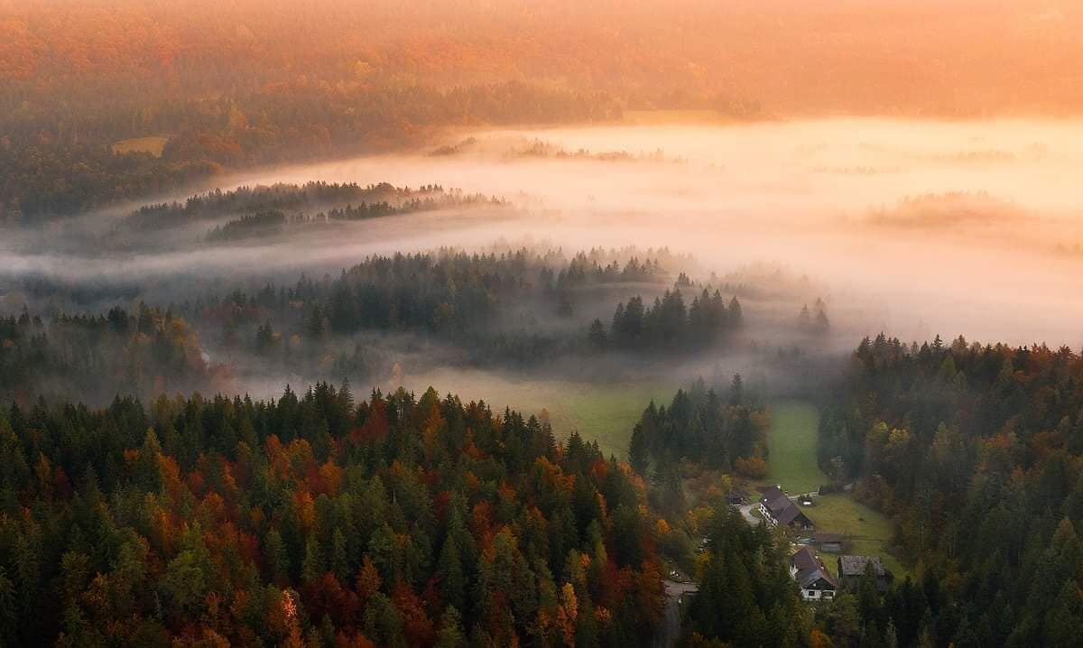 Morning mist flowing trough landscape in beautifol golden hour.
#BvS100k
#drone
#aerial
#italy
#landscape
#perspectives
#mavic2pro
#morning #fog #foggy #mist #misty