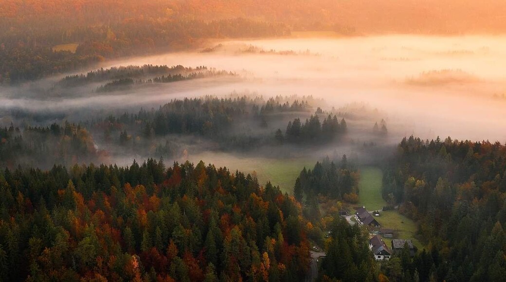 Morning mist flowing trough landscape in beautifol golden hour.
#BvS100k
#drone
#aerial
#italy
#landscape
#perspectives
#mavic2pro
#morning #fog #foggy #mist #misty