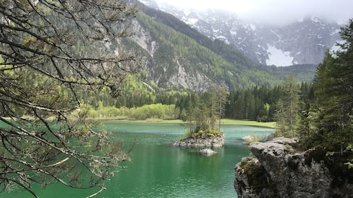 Take the road beyond Fusine (closed in wintertime) towards the Laghi and this emerald mountain lake with grant views is your reward. There are several spots where you see the water bubbling upwards, vulcano style, which fits perfectly with the idyllic scenery.
The hike around this upper lake takes a good one and a half hour, depending on how many benches you want to try out. There is a connecting trail to the lower lake as well - will try that next time!