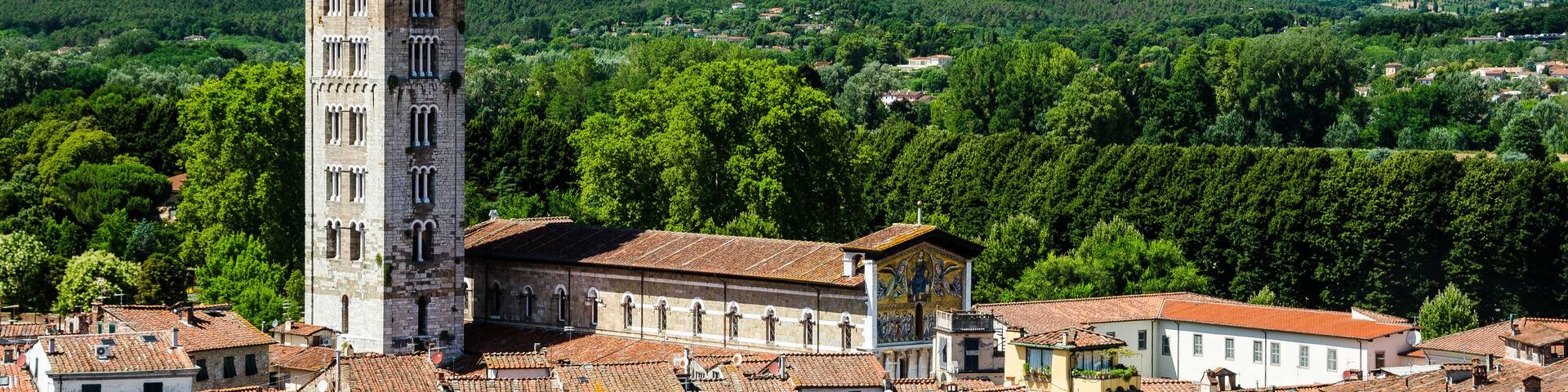 View Over Lucca
