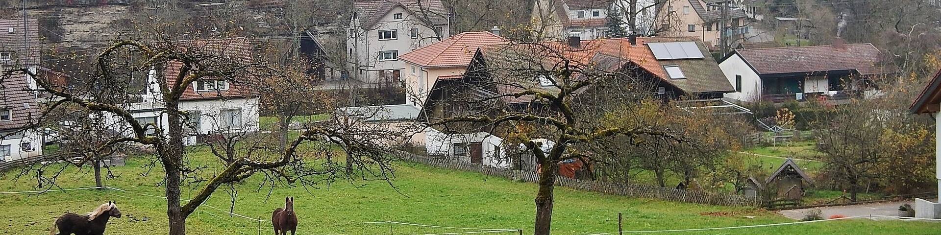 Deißlingen mit Blick in das Eschachtal