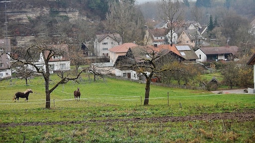 Deißlingen mit Blick in das Eschachtal