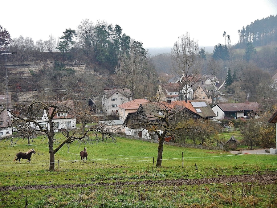 A rural village with houses, a horse, and a field.