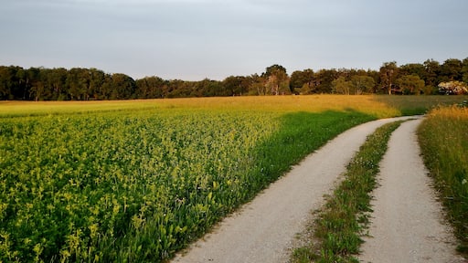 Abendsonne bei Wiesensteig