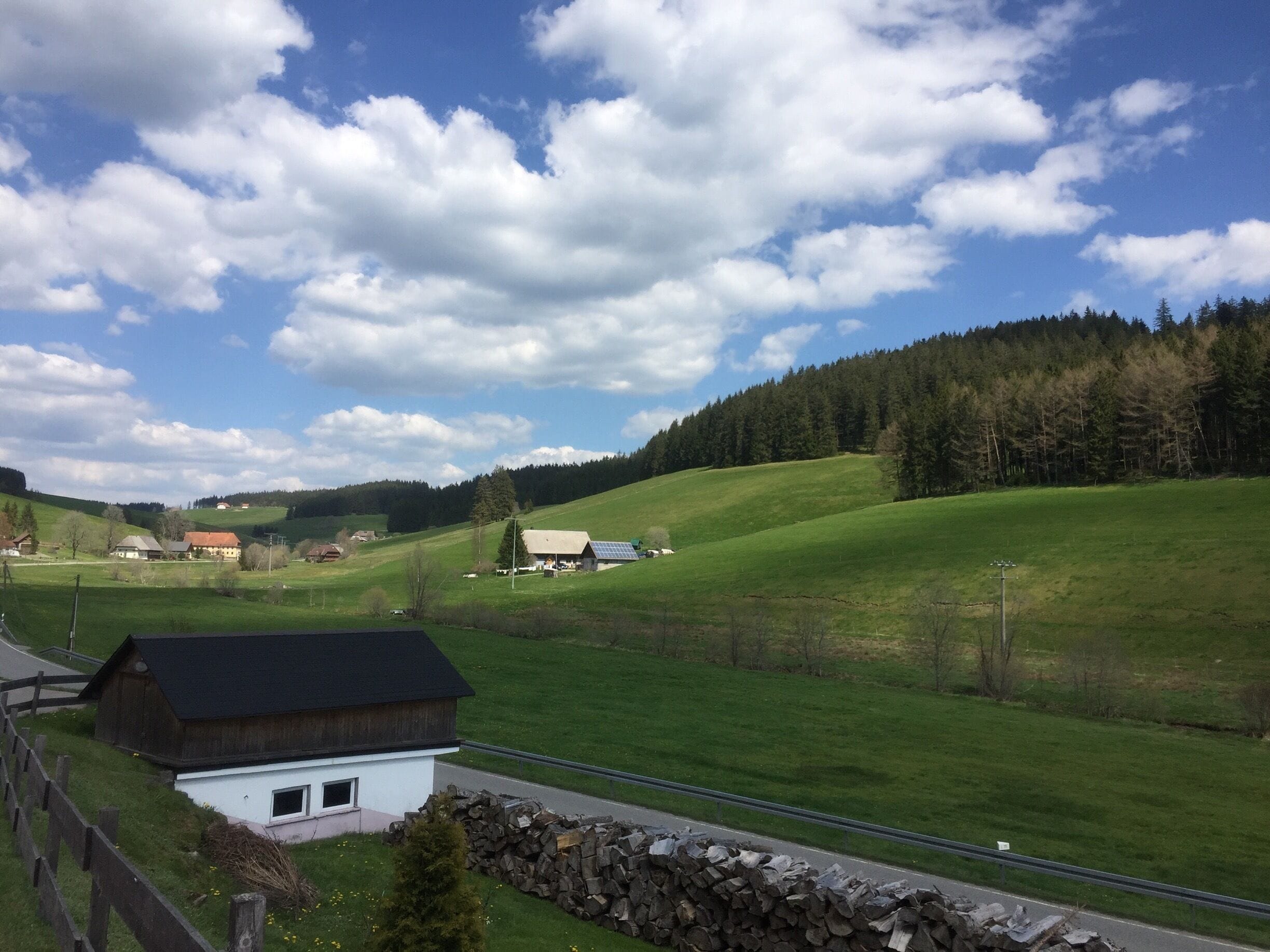 Black forest Germany