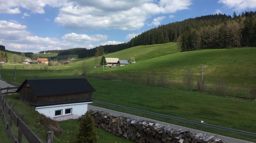 Black forest Germany