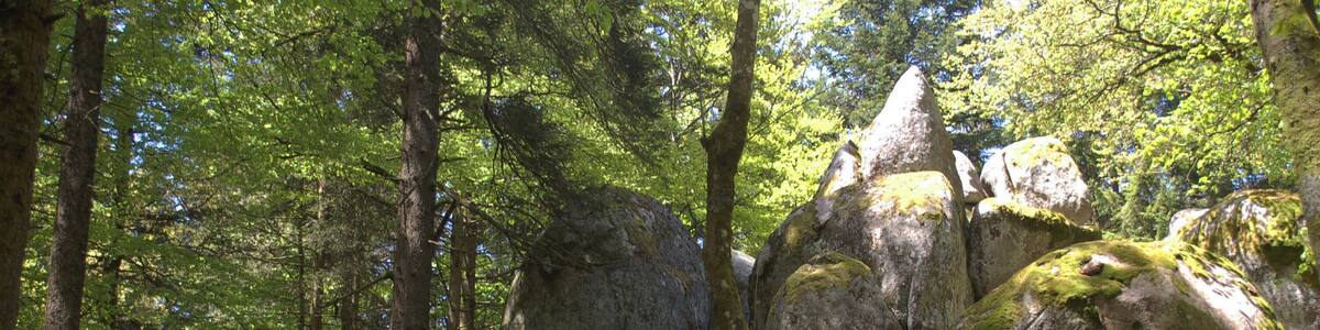 Günterfelsen near Furtwangen, view from the hiking trail, viewing direction north-northwest
