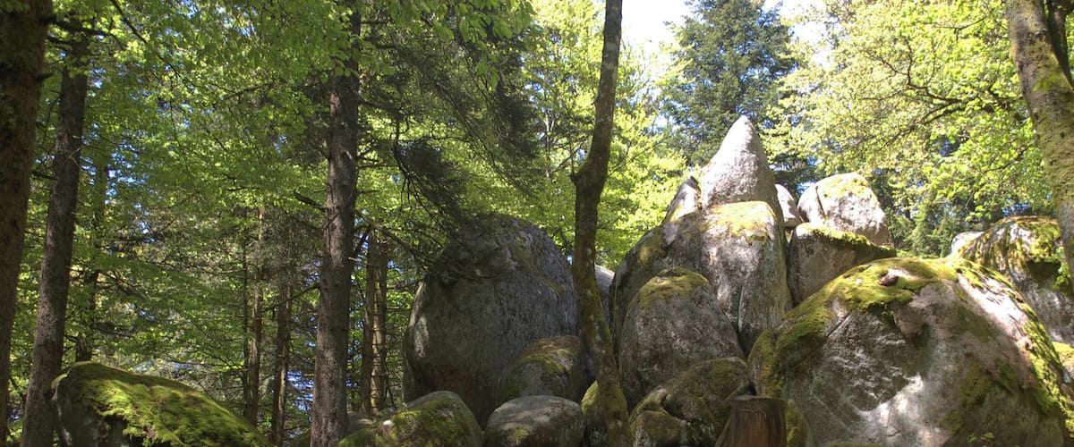 GĂŒnterfelsen near Furtwangen, view from the hiking trail, viewing direction north-northwest