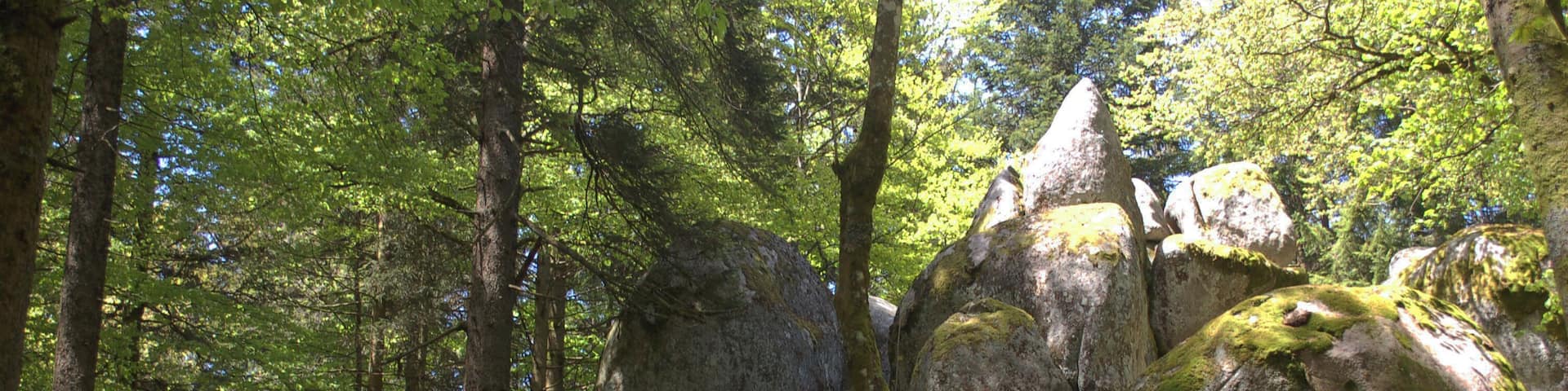 GĂŒnterfelsen near Furtwangen, view from the hiking trail, viewing direction north-northwest