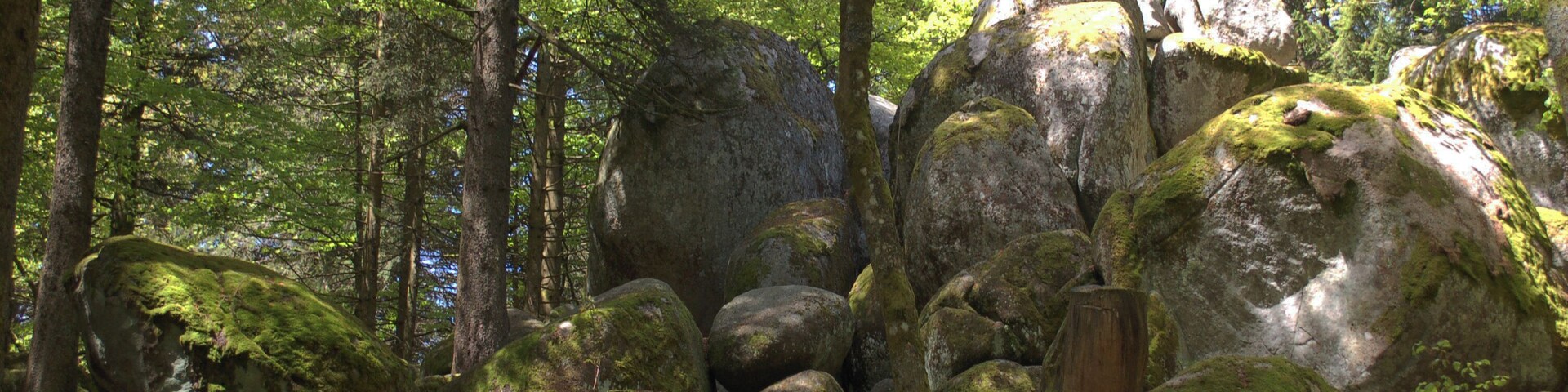 Günterfelsen near Furtwangen, view from the hiking trail, viewing direction north-northwest