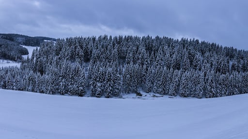 Germany, Remote untouched black forest winter landscape extra large panorama