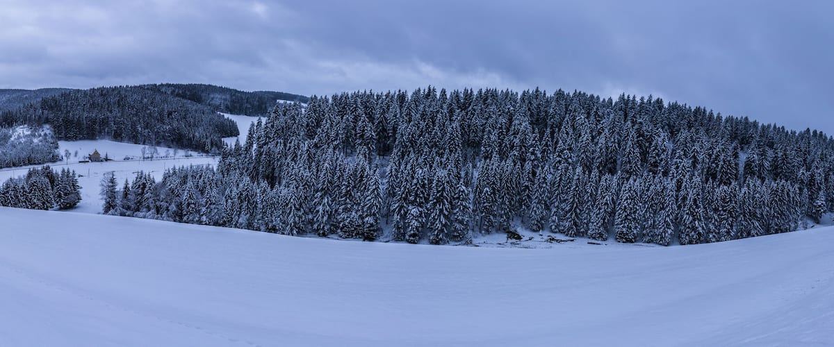 A snow-covered mountain landscape with dense forests and a small village.