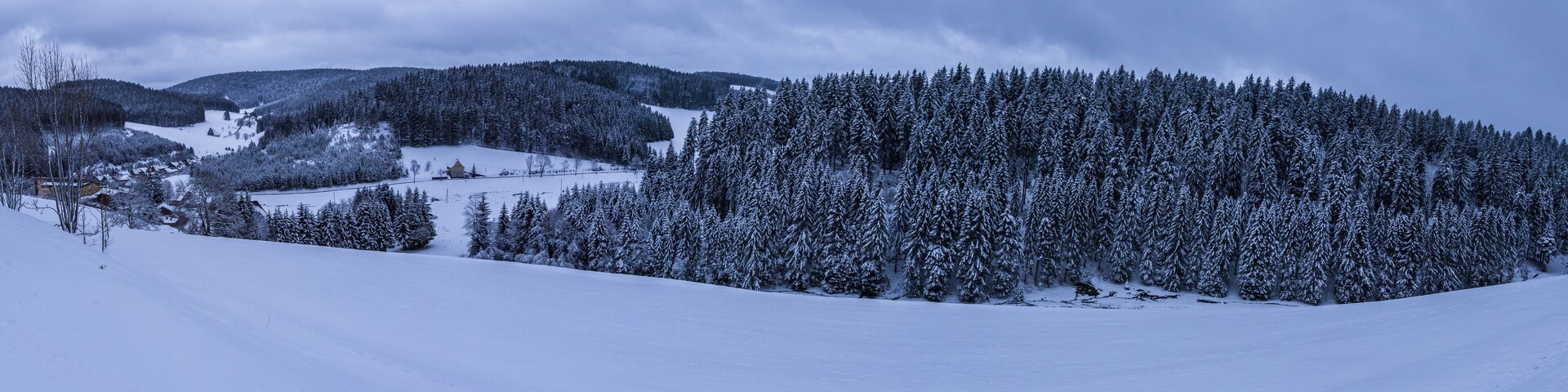 A snow-covered mountain landscape with dense forests and a small village.