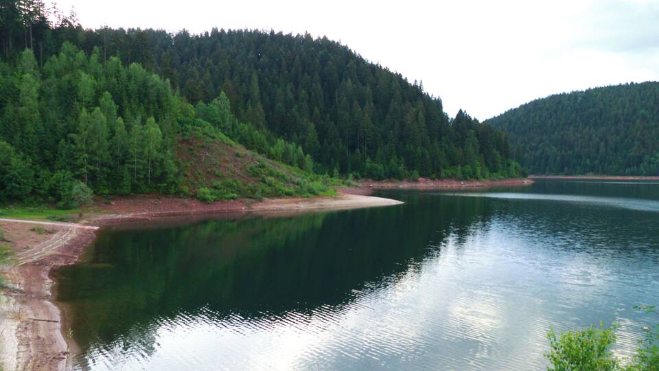 A calm lake surrounded by dense forest and hills.