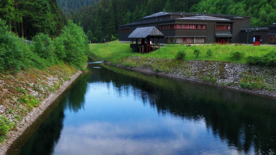 A calm river with a wooden bridge, surrounded by lush greenery and a forested hill in the background.