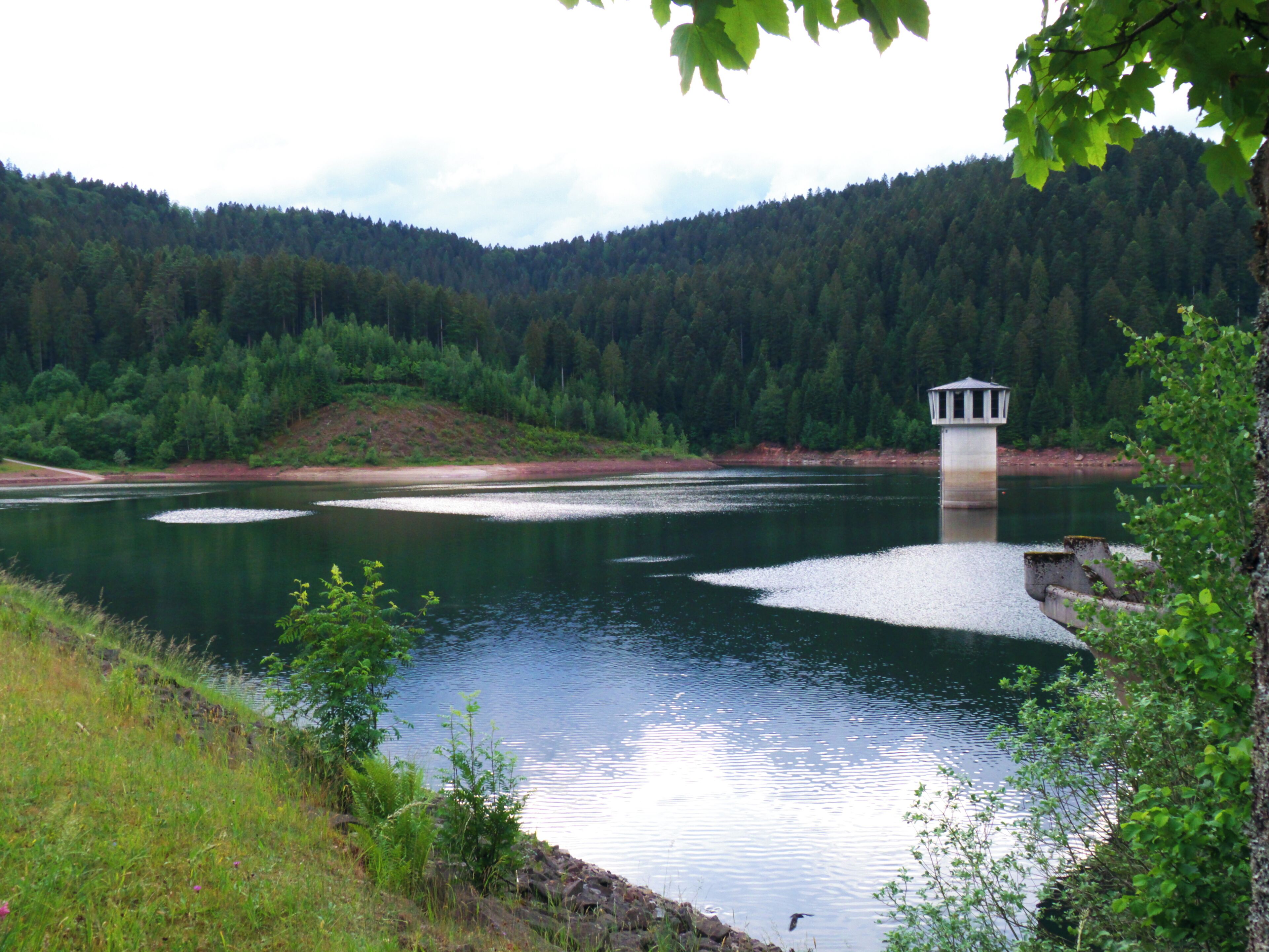 The Thunderstorm Moved To North