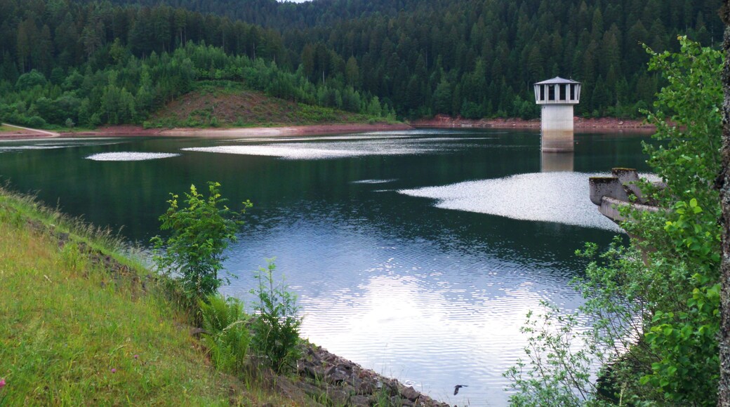 The Thunderstorm Moved To North