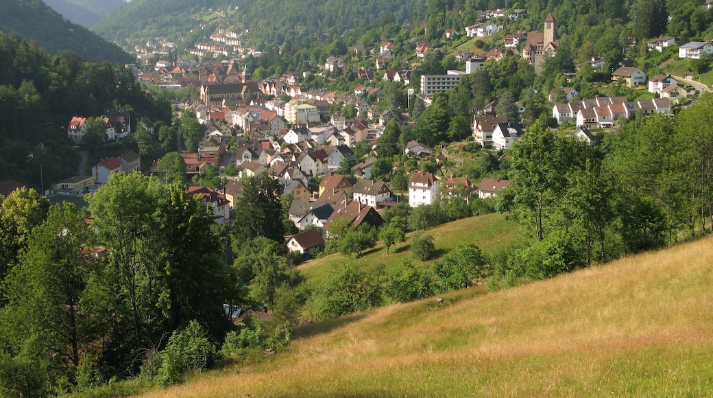 Blick nach Schramberg, südlich gesehen vom Ostweg im Schwarzwald.