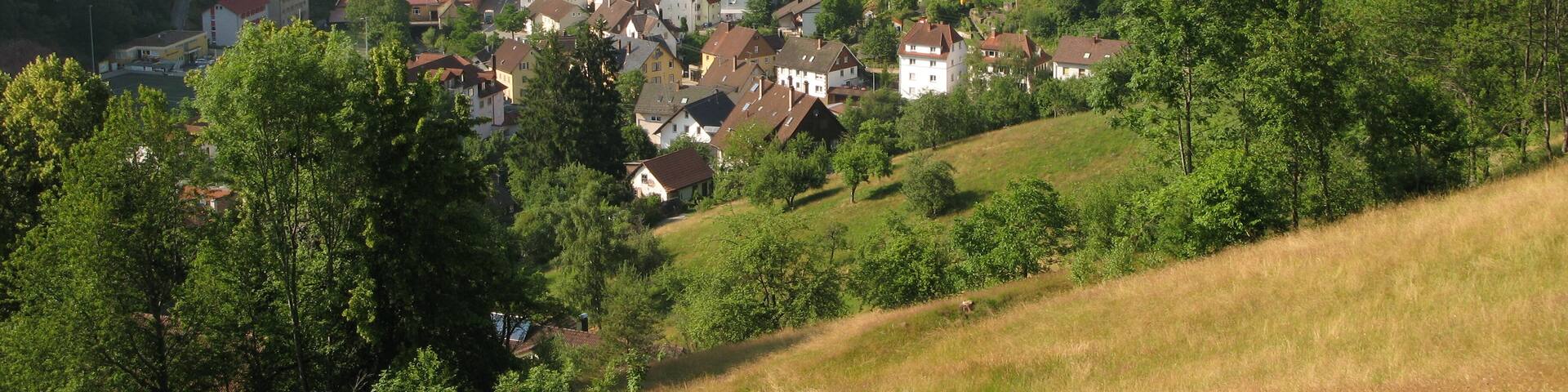 Blick nach Schramberg, sĂŒdlich gesehen vom Ostweg im Schwarzwald.