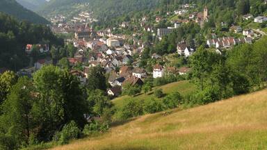 A town nestled in a valley with a prominent church tower, surrounded by lush greenery and hills.
