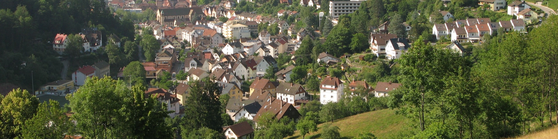Blick nach Schramberg, südlich gesehen vom Ostweg im Schwarzwald.