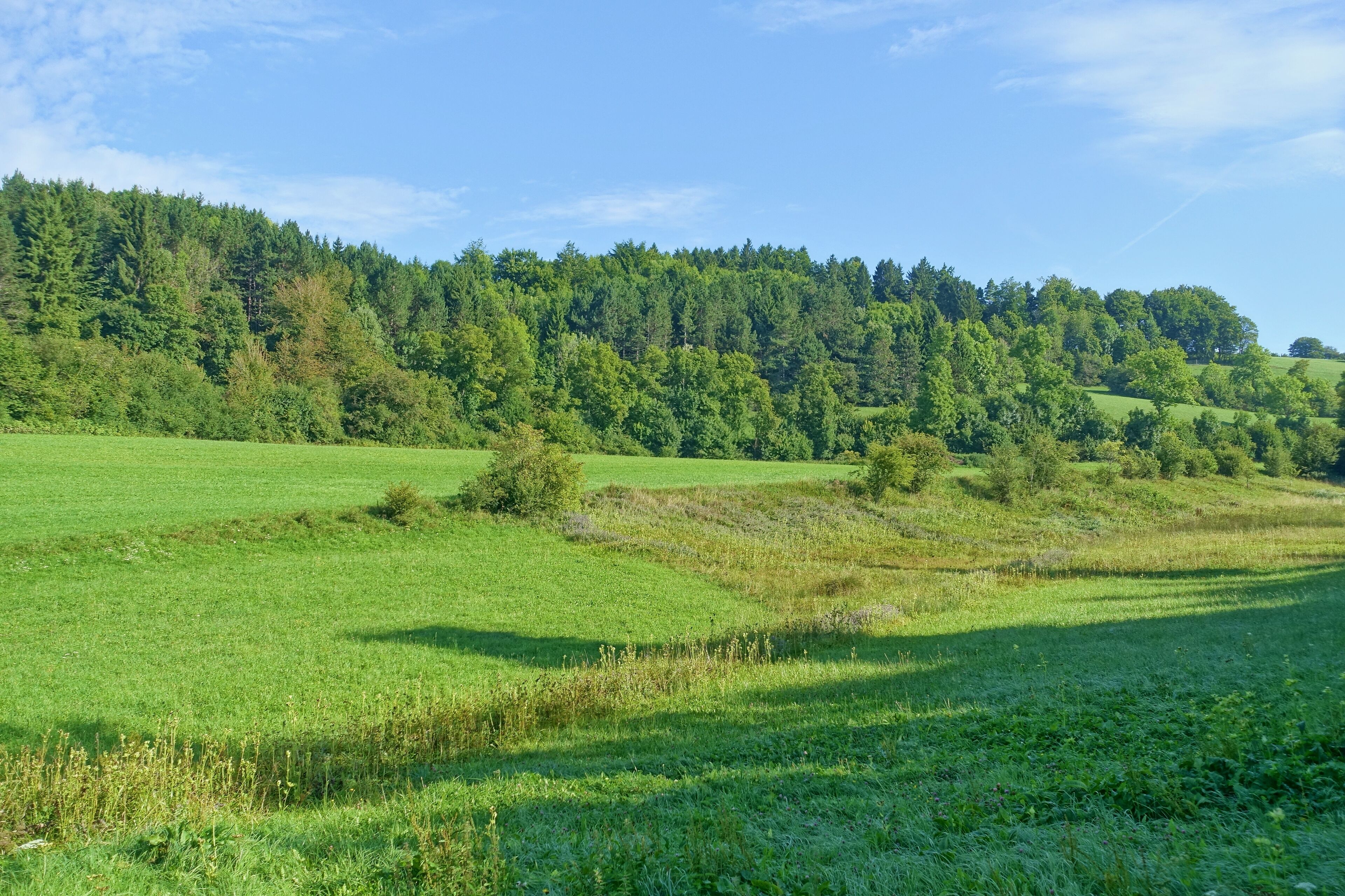 Heckenlandschaft mit ausgedehnten, schützenswerten Kalkmagerrasen, Feuchtgebieten und Saumgesellschaften.