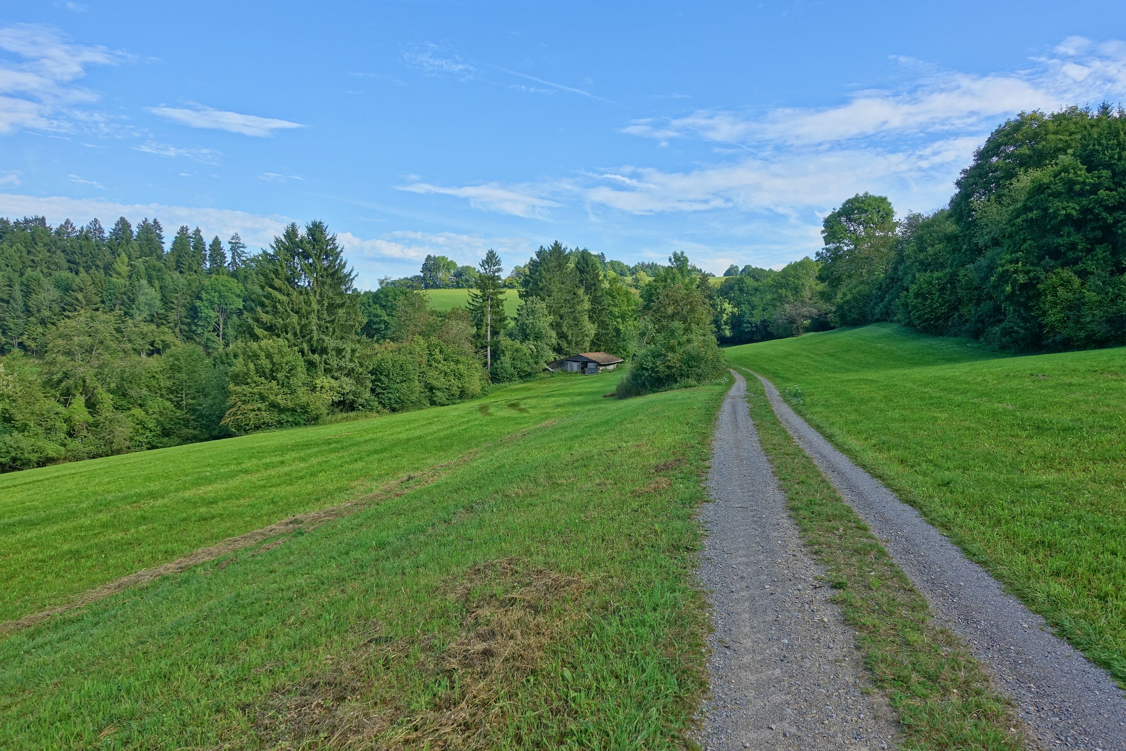Heckenlandschaft mit ausgedehnten, schützenswerten Kalkmagerrasen, Feuchtgebieten und Saumgesellschaften.