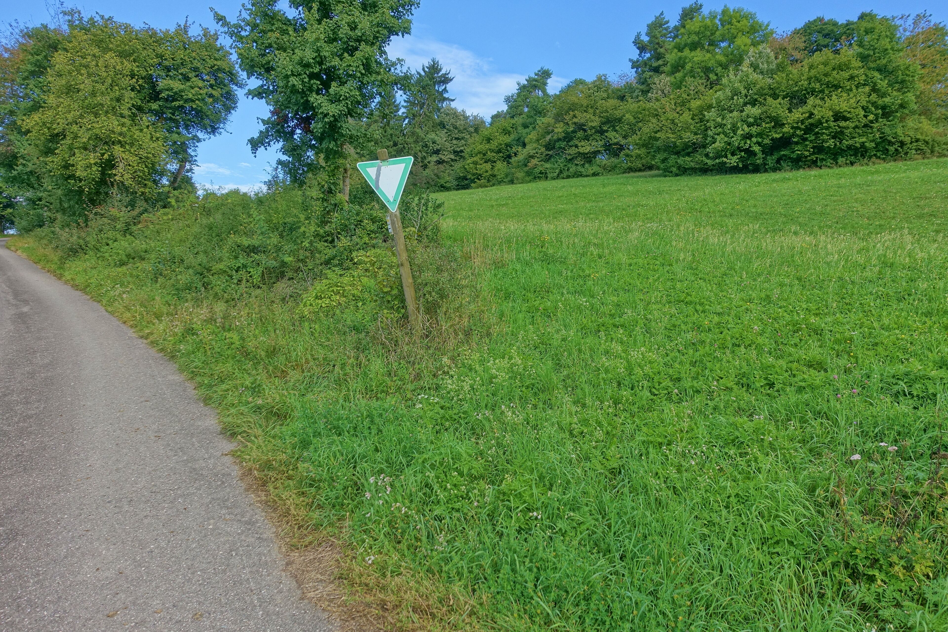Heckenlandschaft mit ausgedehnten, schützenswerten Kalkmagerrasen, Feuchtgebieten und Saumgesellschaften.