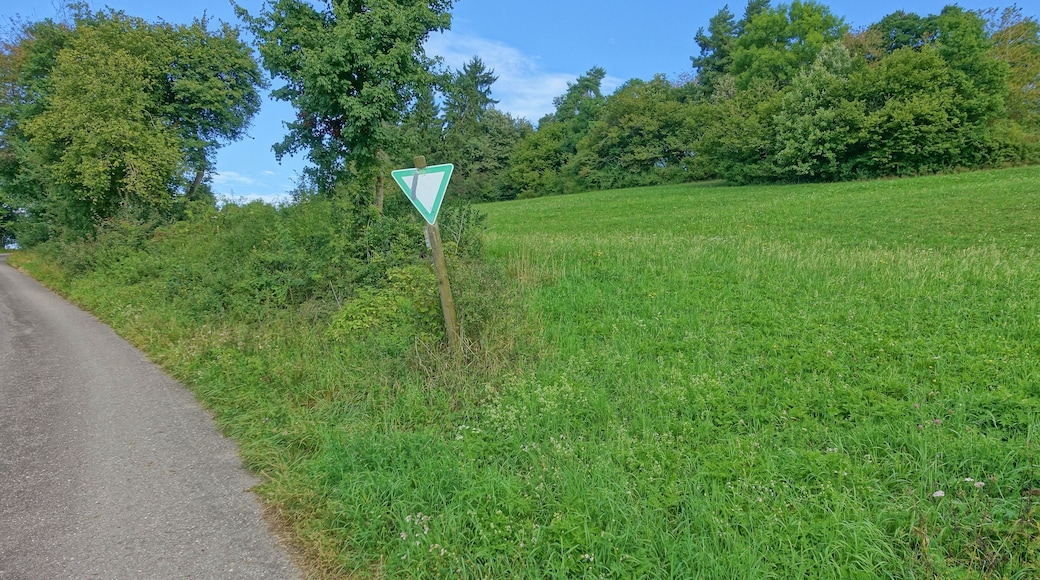Heckenlandschaft mit ausgedehnten, schĂŒtzenswerten Kalkmagerrasen, Feuchtgebieten und Saumgesellschaften.