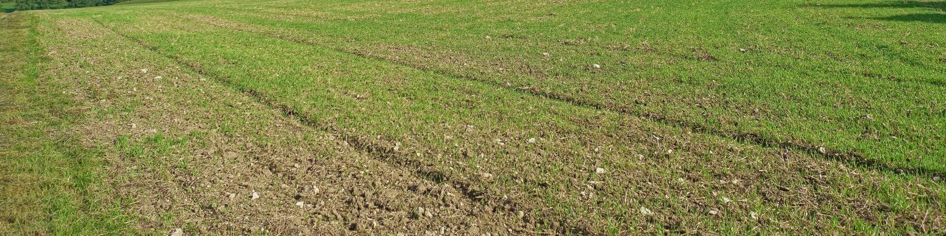 Heckenlandschaft mit ausgedehnten, schützenswerten Kalkmagerrasen, Feuchtgebieten und Saumgesellschaften.