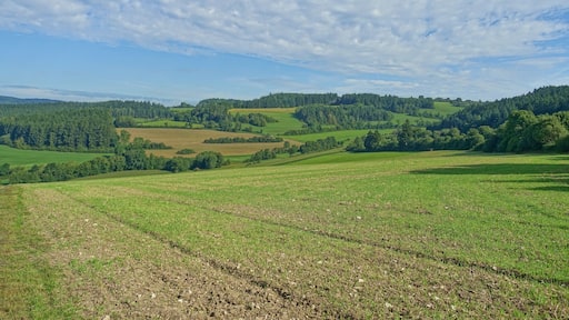 Heckenlandschaft mit ausgedehnten, schützenswerten Kalkmagerrasen, Feuchtgebieten und Saumgesellschaften.