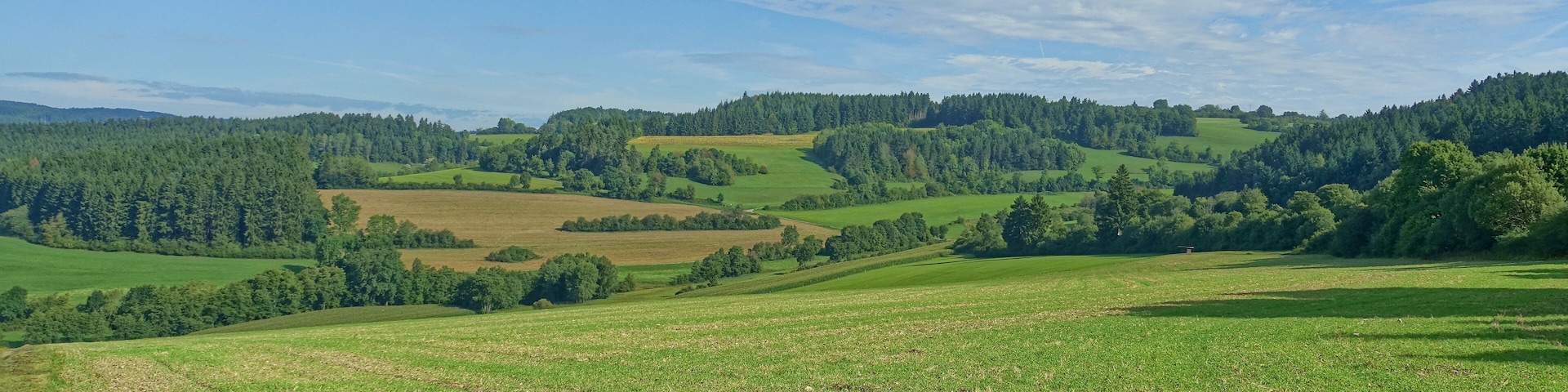 Heckenlandschaft mit ausgedehnten, schützenswerten Kalkmagerrasen, Feuchtgebieten und Saumgesellschaften.