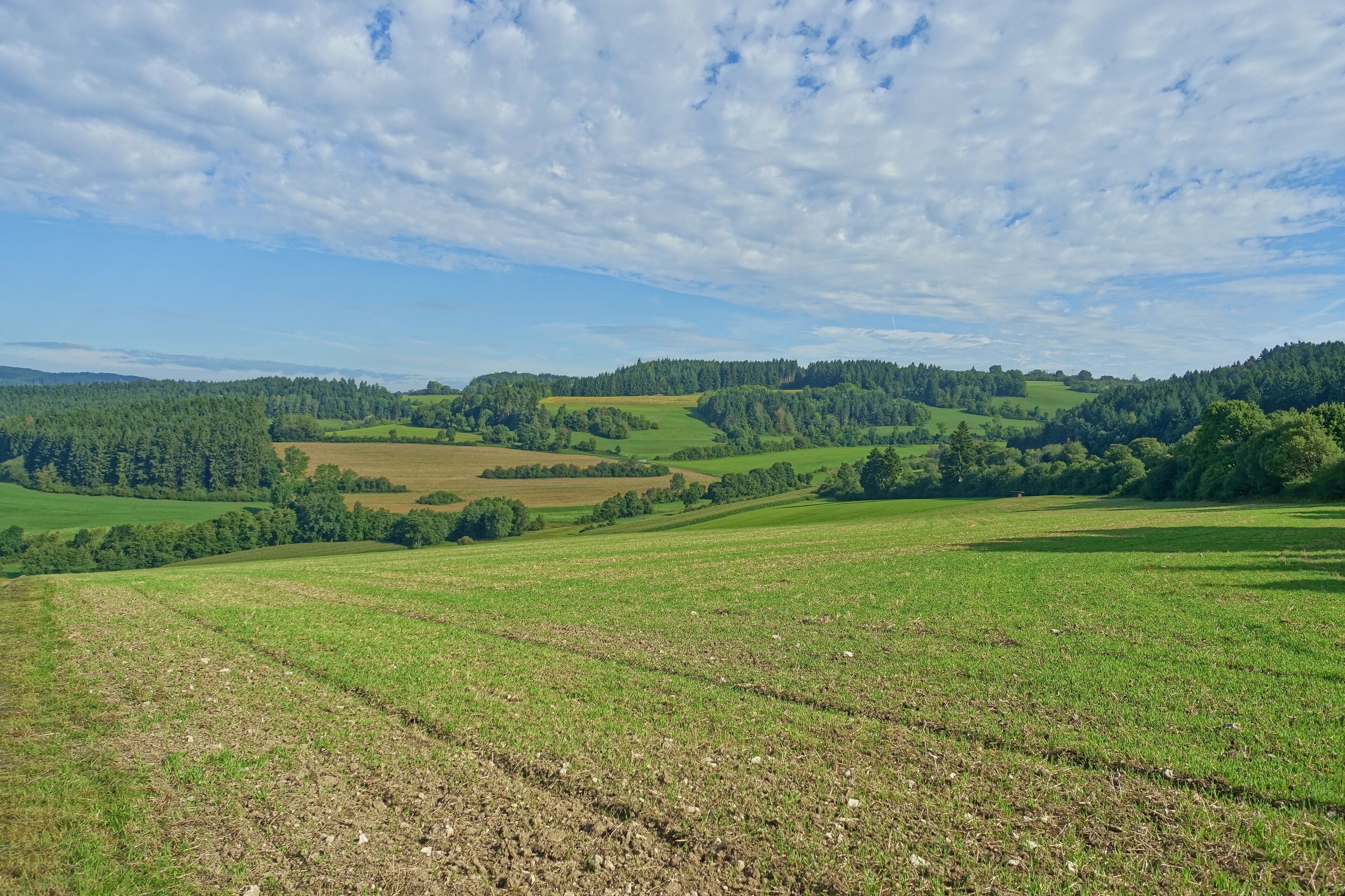 A vast green field with rolling hills and a forested area in the distance under a partly cloudy sky.