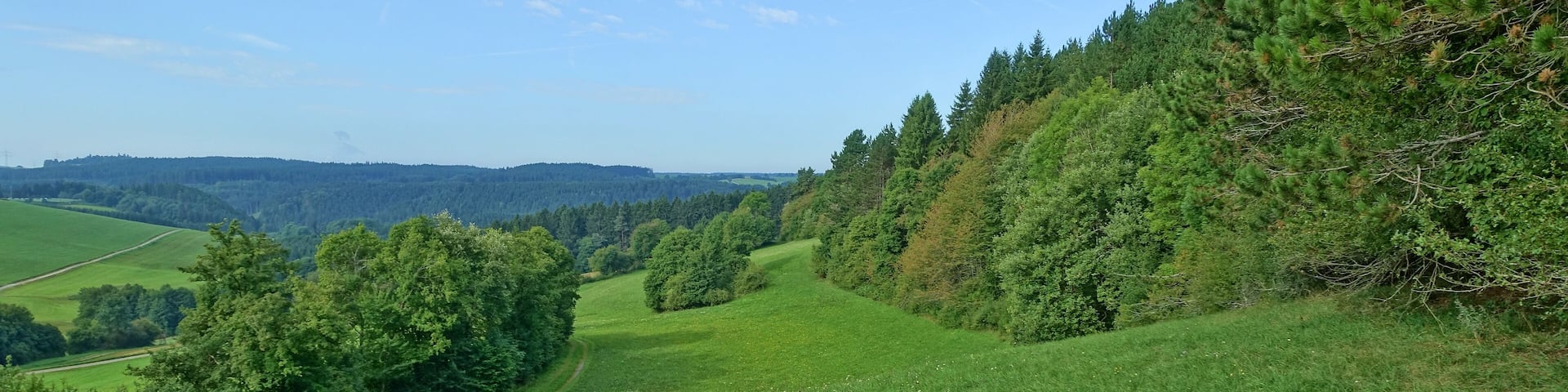 Heckenlandschaft mit ausgedehnten, schützenswerten Kalkmagerrasen, Feuchtgebieten und Saumgesellschaften.